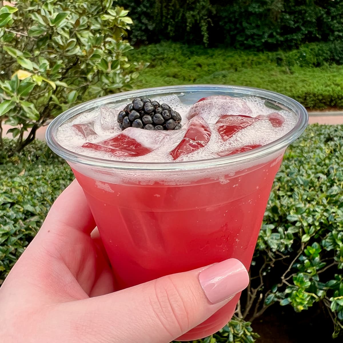 Blackberry moonshine sour from the America pavilion at EPCOT